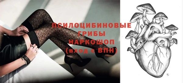 шишки Новодвинск