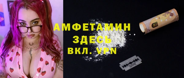 шишки Новодвинск