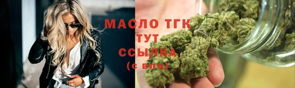 шишки Новодвинск