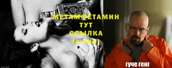 шишки Новодвинск