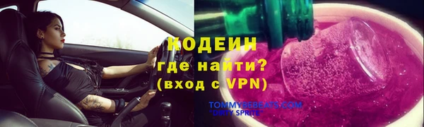 шишки Новодвинск