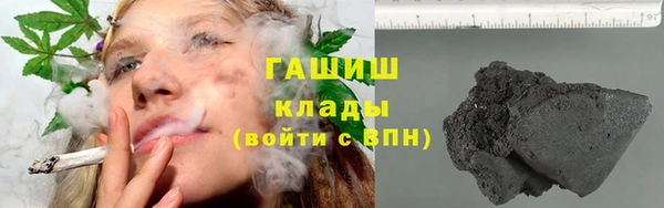 трава Новозыбков