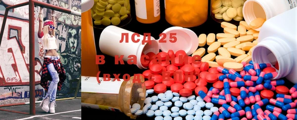 шишки Новодвинск
