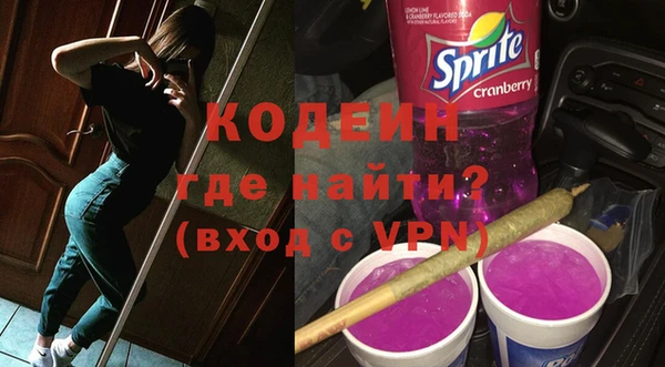 шишки Новодвинск
