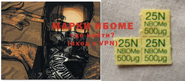 шишки Новодвинск