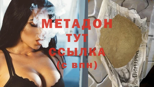 шишки Новодвинск