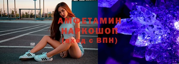 шишки Новодвинск