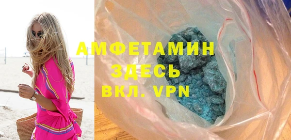 шишки Новодвинск