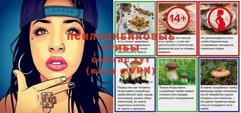 Галлюциногенные грибы GOLDEN TEACHER  Красновишерск 